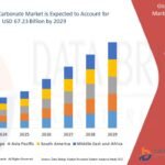 Calcium Carbonate Market Outlook: Evolution, Trends, Challenges, and Growth Drivers