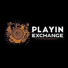 Blackjack Basics to Advanced Moves on Playinexch: Beat the Dealer Like a Pro