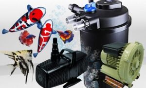 Wrought iron gates trinidad