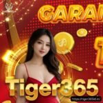 Tiger Exchange WhatsApp Number: Get Your ID Safely in Minutes