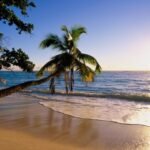 The Role of Progressive Web Apps in Property Search