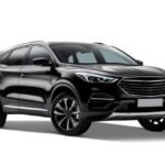 A Complete Guide to Bahamas Car Rentals and Professional Travel Services