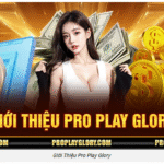 Chia Sẻ Kinh Nghiệm Nhà Cái