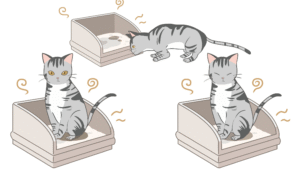 The Ultimate Guide to Choosing the Right Automatic Litter Box for Large Cats