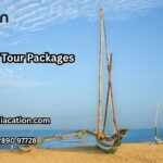 What Are Key Factors to Consider Before Booking a Sri Lanka Tour Package?