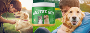 NativeGut for Dogs Review (2026): Ingredients, Probiotic Strains & Does It Really Work?