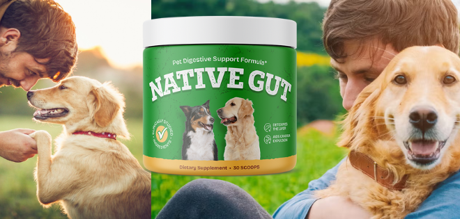 NativeGut for Dogs Review (2026): Ingredients, Probiotic Strains & Does It Really Work?