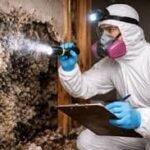 Jacksonville mold abatement companies