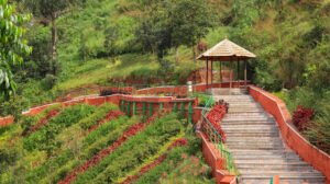 Mysore to Madikeri Cab | Mysore to Madikeri Taxi