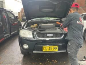 Transmission Repairs Point Piper