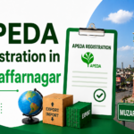 APEDA Registration in Muzaffarnagar: Complete Guide 2026
