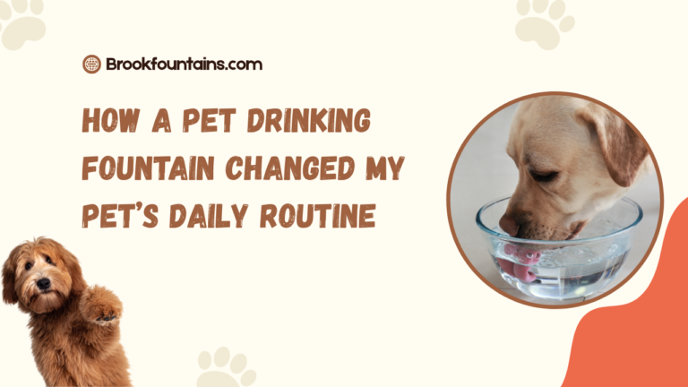 How a Pet Drinking Fountain Changed My Pet’s Daily Routine