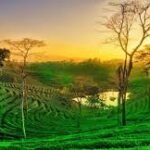 Best Road Trips from Nagpur