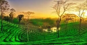 Best Road Trips from Nagpur