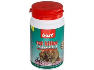 Rat Killer & Rodent Control Services – Complete Guide to a Rodent-Free Home