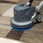 Why Carpet Cleaning Services Fit Into Preventive Cleaning Plans
