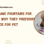 Ceramic Fountains for Cats Why They Preferred Choice for Pe