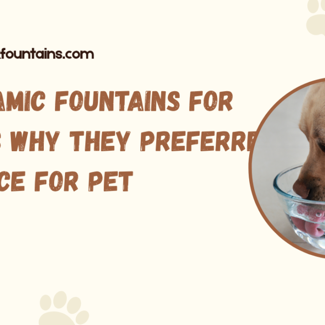 Ceramic Fountains for Cats Why They Preferred Choice for Pe