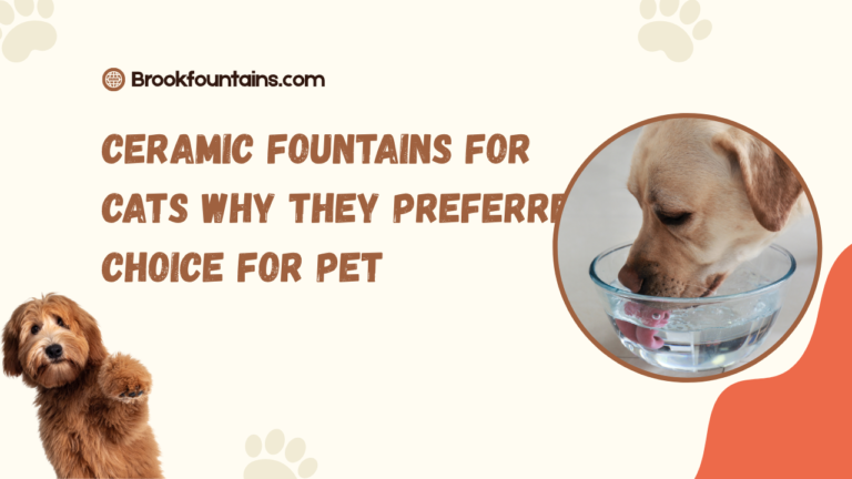 Ceramic Fountains for Cats Why They Preferred Choice for Pe