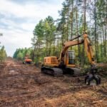Preparing Your Property for Spring with Land Clearing in Berwyn IL
