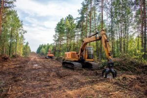 Preparing Your Property for Spring with Land Clearing in Berwyn IL
