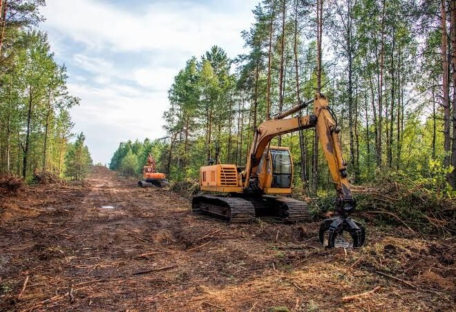 Preparing Your Property for Spring with Land Clearing in Berwyn IL