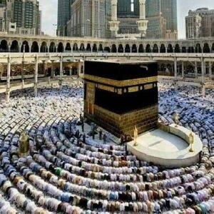 خدمات النقل اليومي عبر باصات نقل من مكة للمدينة