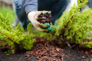 Mulching Services in Melbourne | Pro Landscaping Services & Designs