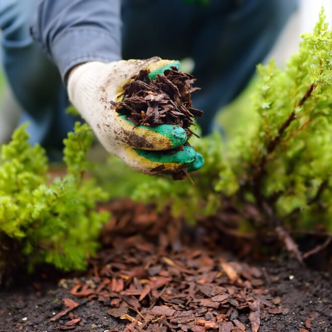 Mulching Services in Melbourne | Pro Landscaping Services & Designs