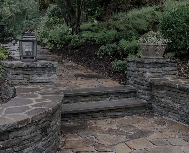 Professional commercial landscaping service dallas for Beautiful Business Properties
