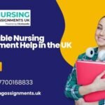 Affordable Nursing Assignment Help in the UK