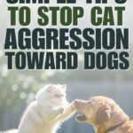 Why Dogs Dislike Cats: Causes and Solutions