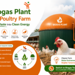 How Does a Biogas Plant Work for Poultry Farms in India?