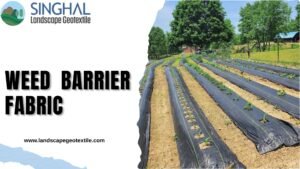 Weed Barrier Fabric Delivering Long Lasting Weed Control