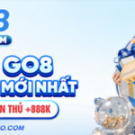 go854.com