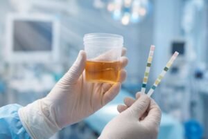 Lab Corps Testing Guide What to Expect Before During and After Your Visit