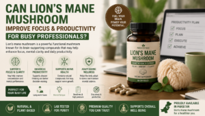 Can Lion’s Mane Mushroom Improve Focus and Productivity for Busy Professionals?