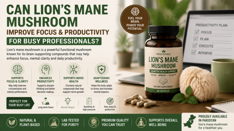 Can Lion’s Mane Mushroom Improve Focus and Productivity for Busy Professionals?