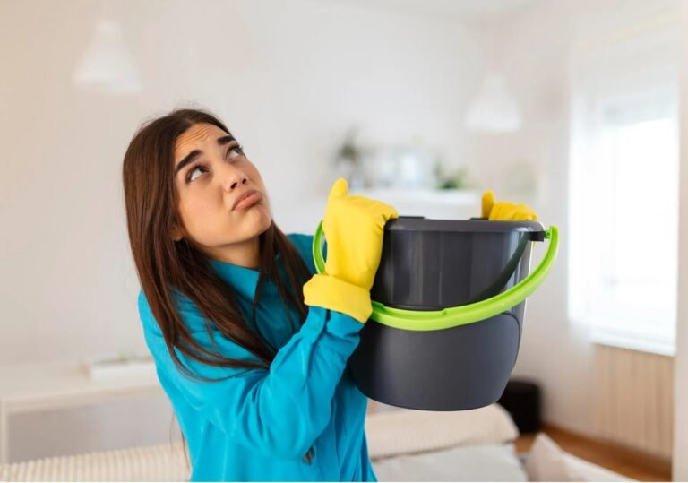 Black Mold Removal Alexandria VA: What Homeowners Should Know