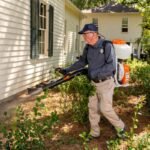 Rodent Control NYC: Protect Your Home and Business in Staten Island