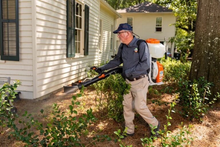 Rodent Control NYC: Protect Your Home and Business in Staten Island