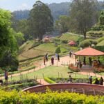 Taxi from Bangalore to Ooty | Check Taxi Fare & Book Online
