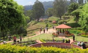 Taxi from Bangalore to Ooty | Check Taxi Fare & Book Online