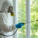 Pest Control SEO Services in Houston: A Complete Guide to Growing Your Pest Control Business Online