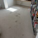 A Practical Guide to Removing Carpet Stains