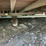 Termite & Pest Control Mooloolaba