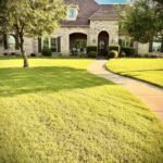 Crafting Custom Backyards: The Elite Approach to Design