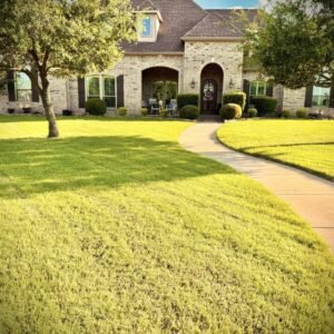 Crafting Custom Backyards: The Elite Approach to Design