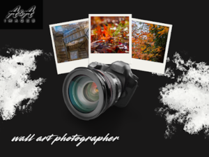 Wildlife Photo Prints: Bring the Untamed Beauty of Nature Into Your Home