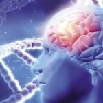 أهمية التصوير والفحوصات في تشخيص أمراض العمود الفقري